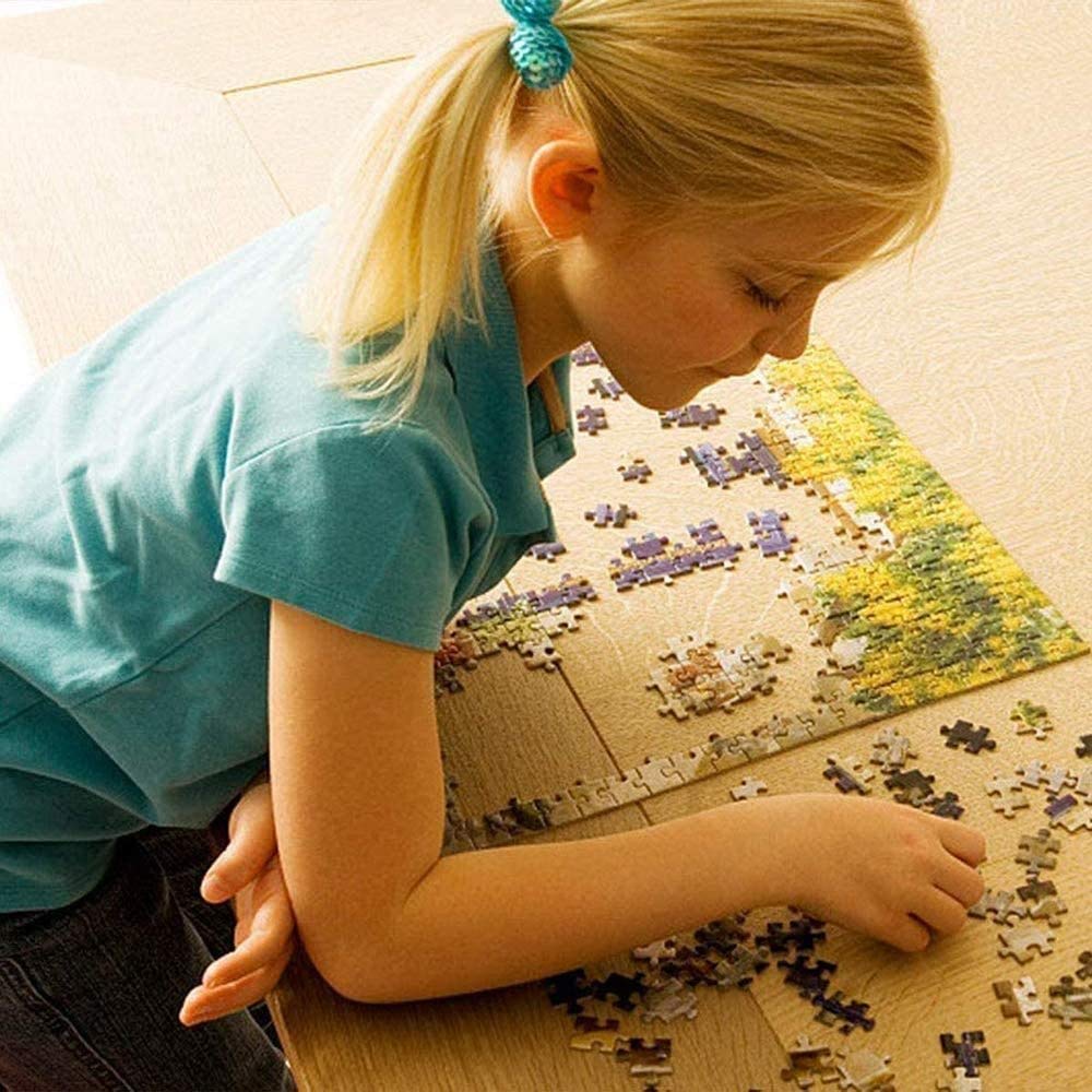 Amazon.co.jp: 大人のための1000ピースの高難易度ジグソーパズル、虹の